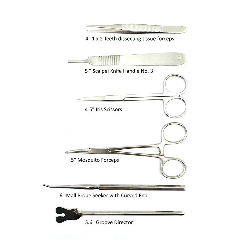 Dissection & Suture Practice Kit | Medical Surgical Training